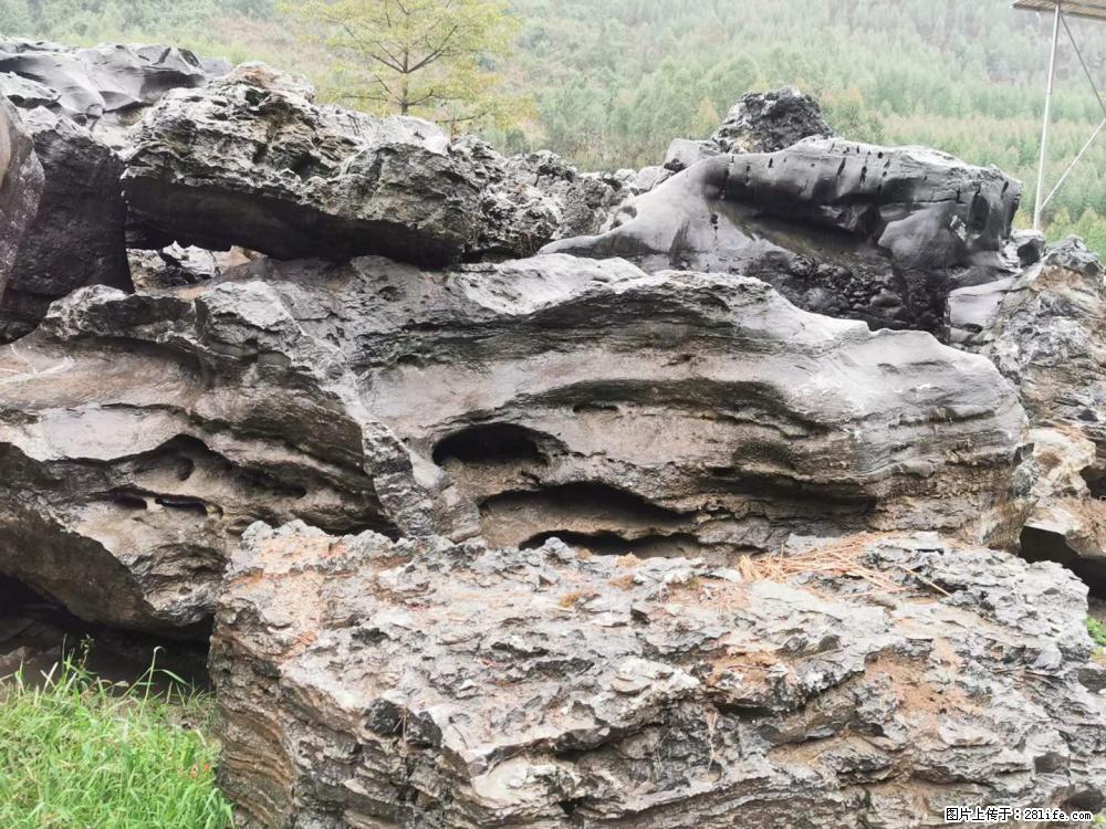 风景石、假山石大量有货,有需要的欢迎联系 - 新手上路 - 鞍山生活社区 - 鞍山28生活网 as.28life.com