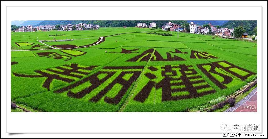 【春天，广西桂林灌阳县向您发出邀请！】开篇 - 游山玩水 - 鞍山生活社区 - 鞍山28生活网 as.28life.com