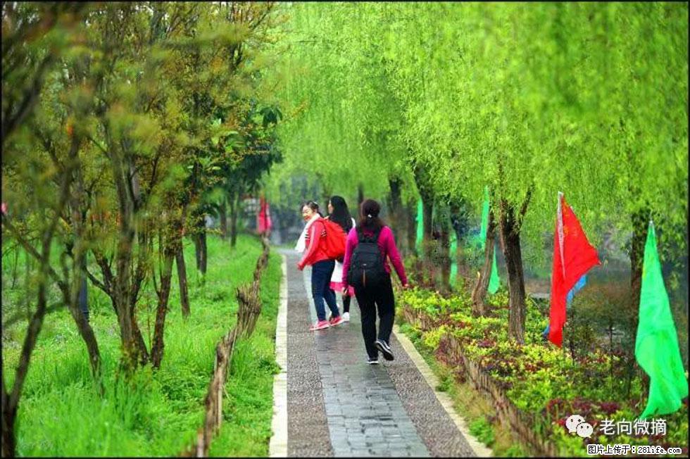 【春天，广西桂林灌阳县向您发出邀请！】江口老街又逢春 - 游山玩水 - 鞍山生活社区 - 鞍山28生活网 as.28life.com