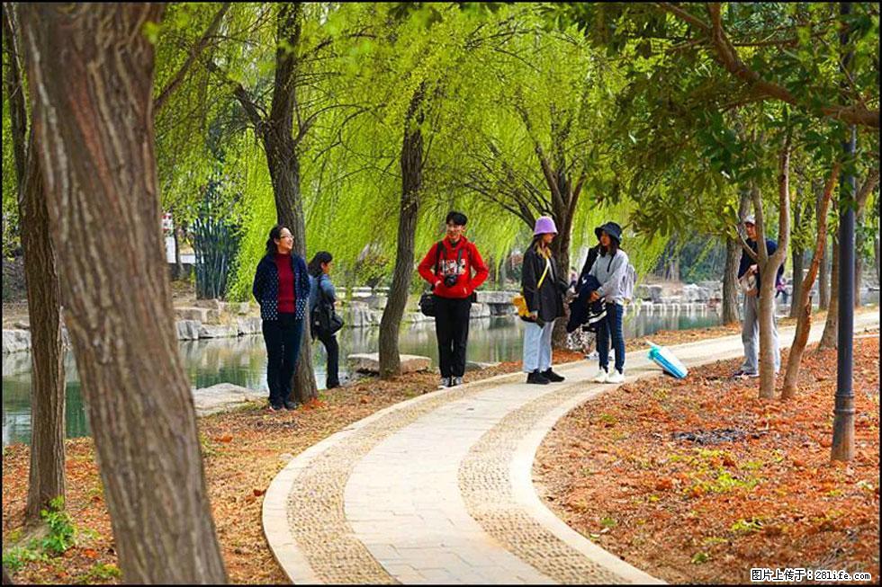 【春天，广西桂林灌阳县向您发出邀请！】江口老街又逢春 - 游山玩水 - 鞍山生活社区 - 鞍山28生活网 as.28life.com