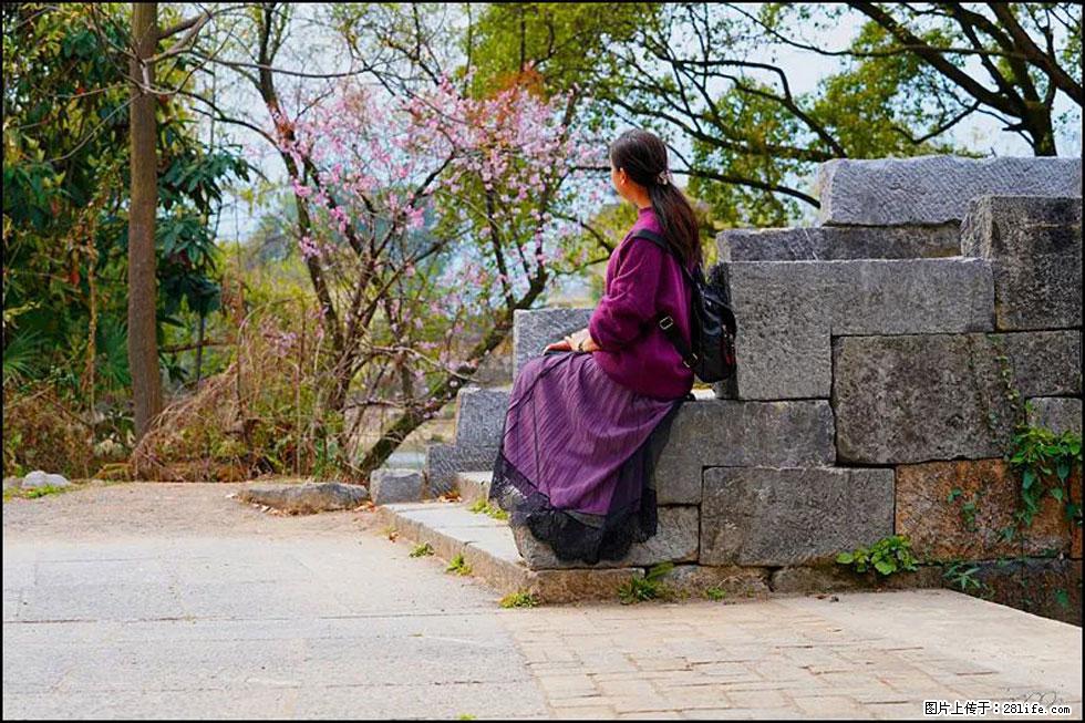 【春天，广西桂林灌阳县向您发出邀请！】江口老街又逢春 - 游山玩水 - 鞍山生活社区 - 鞍山28生活网 as.28life.com