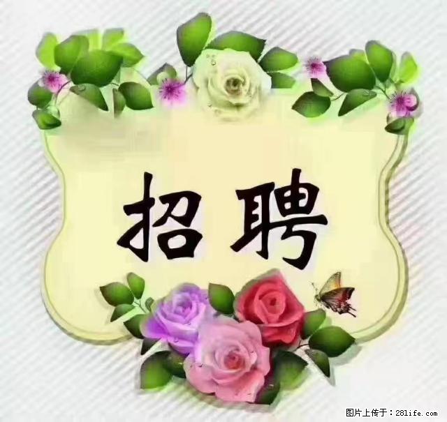 【招聘】住家育儿嫂,上户日期:4月4日,工作地址:上海 黄浦区 - 职场交流 - 鞍山生活社区 - 鞍山28生活网 as.28life.com