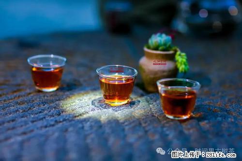 时间果百年古树2025年春红茶 - 购物交流 - 鞍山生活社区 - 鞍山28生活网 as.28life.com