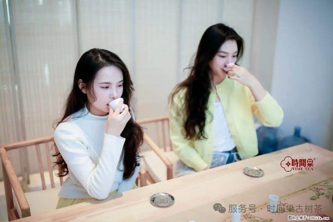 时间果百年古树龙珠普洱生茶 - 购物交流 - 鞍山生活社区 - 鞍山28生活网 as.28life.com