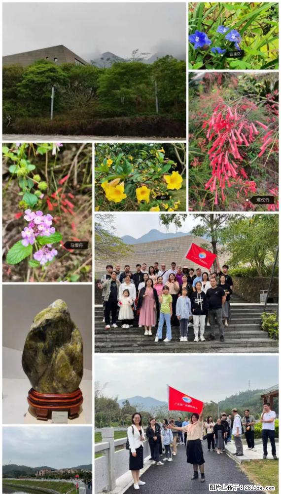 “粤灌文化 美好生活”油茶文化主题活动在广东深圳成功举办 - 鞍山生活资讯 - 鞍山28生活网 as.28life.com