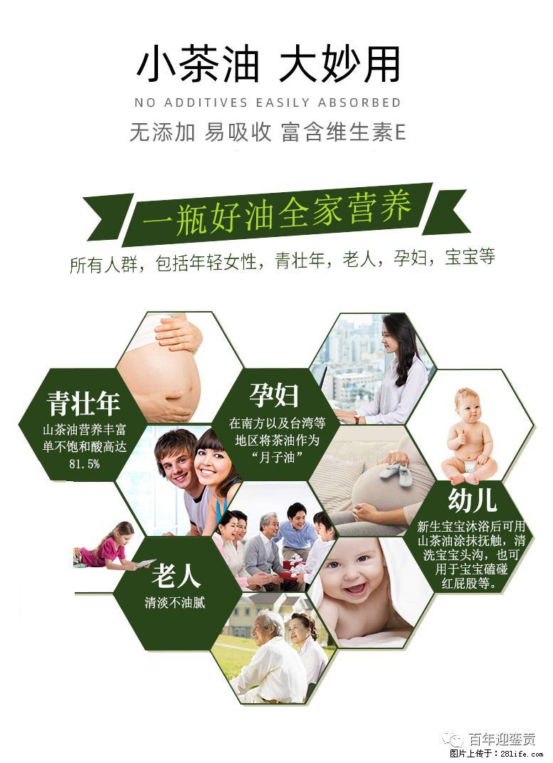 世界没有真相,只有认知,最好的食用油是中国的山茶油! - 鞍山生活资讯 - 鞍山28生活网 as.28life.com