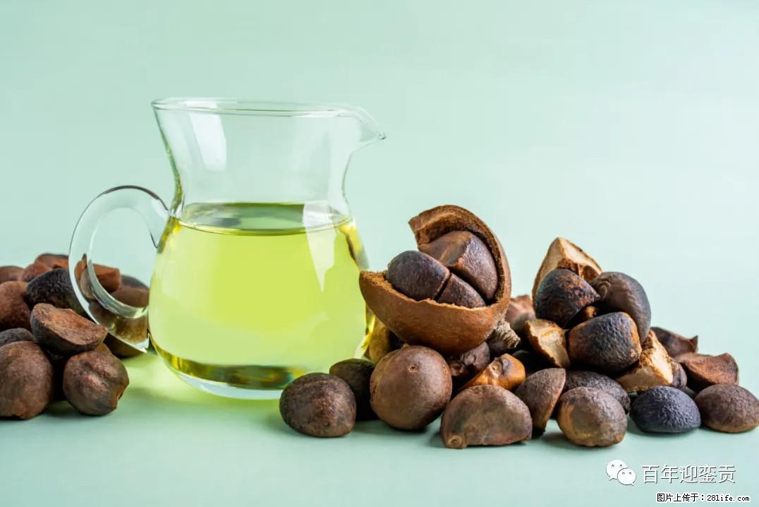 世界没有真相,只有认知,最好的食用油是中国的山茶油! - 鞍山生活资讯 - 鞍山28生活网 as.28life.com