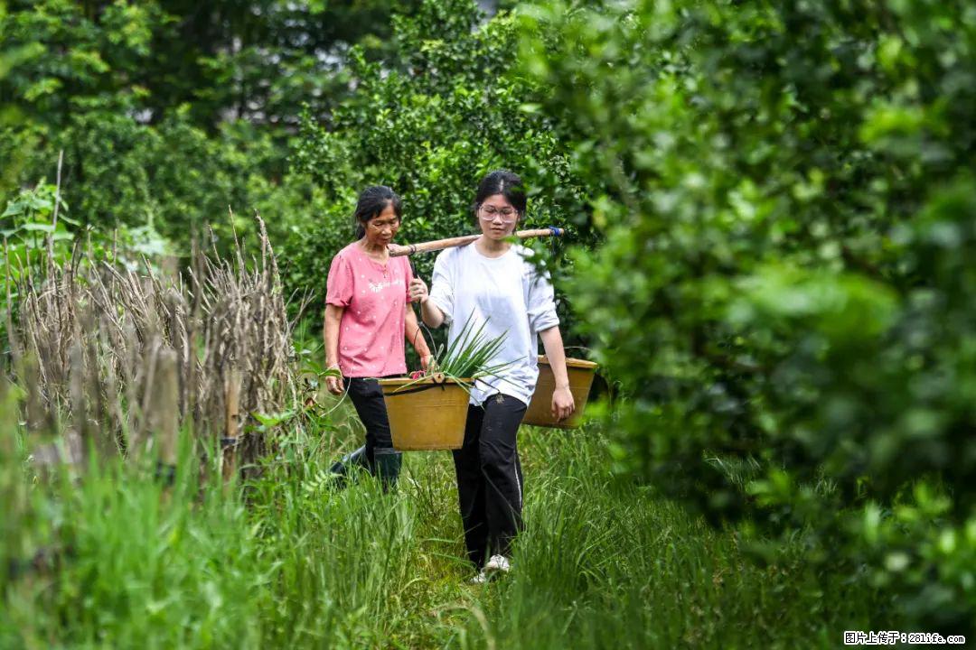 全网追的“扁担女孩”，找了一份暑假工，时薪12元 - 鞍山生活资讯 - 鞍山28生活网 as.28life.com
