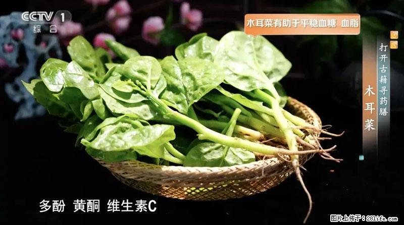 比牛奶补钙还厉害！凉血解毒、稳血糖...这菜冬天必吃，很多人却当草 - 鞍山生活资讯 - 鞍山28生活网 as.28life.com