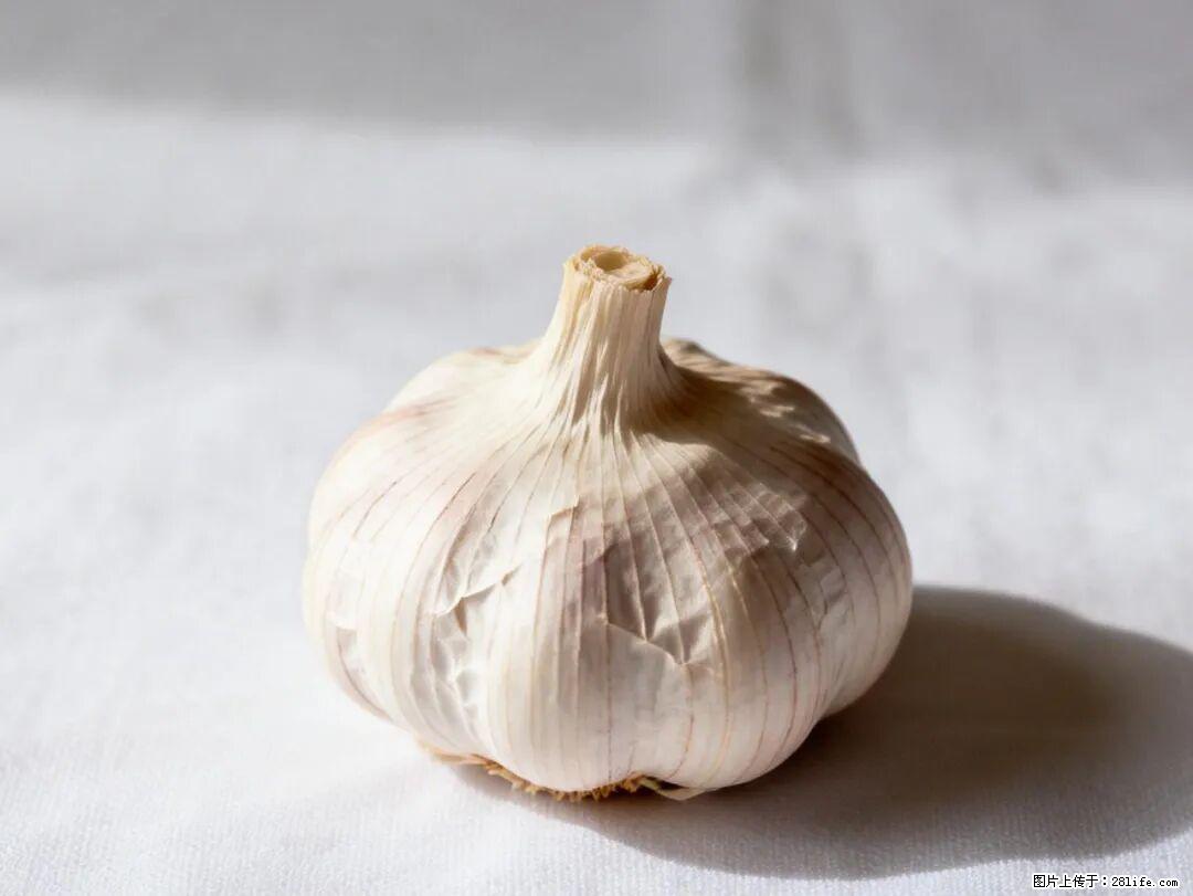关于大蒜，除了“天然抗生素”，这4个谣言更该警惕! - 鞍山生活资讯 - 鞍山28生活网 as.28life.com
