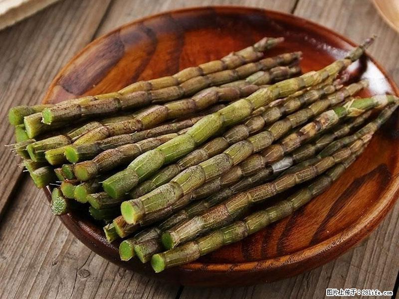 铁皮石斛的作用与功能主治 - 鞍山生活资讯 - 鞍山28生活网 as.28life.com