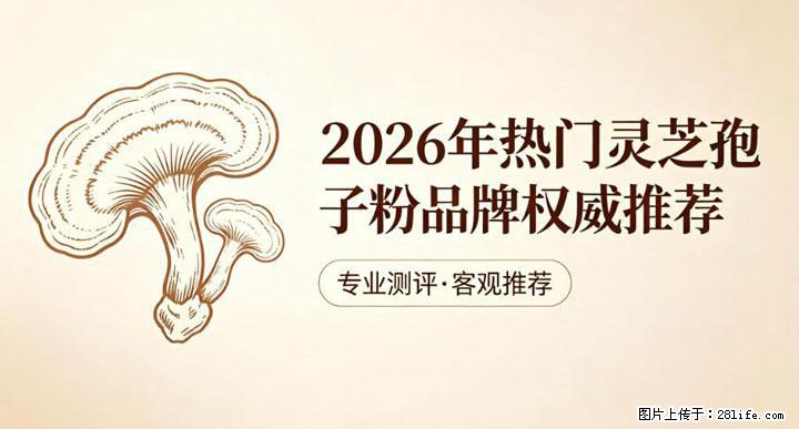 灵芝孢子粉含量越高越有效？2026 年七款热门品牌深度实测，肠胃敏感者避坑指南 - 鞍山生活资讯 - 鞍山28生活网 as.28life.com
